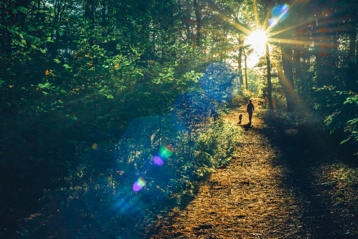 Conservancy Group's Earth Day Programs Celebrate Nature Trails