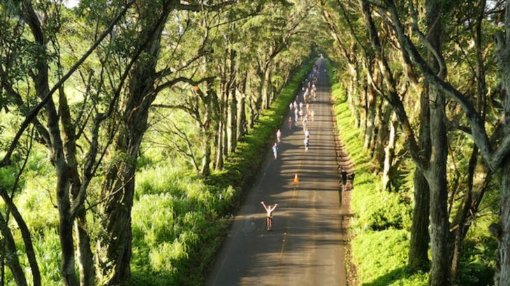 Kauai Image 5