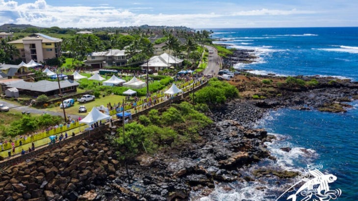 Kauai Image 6