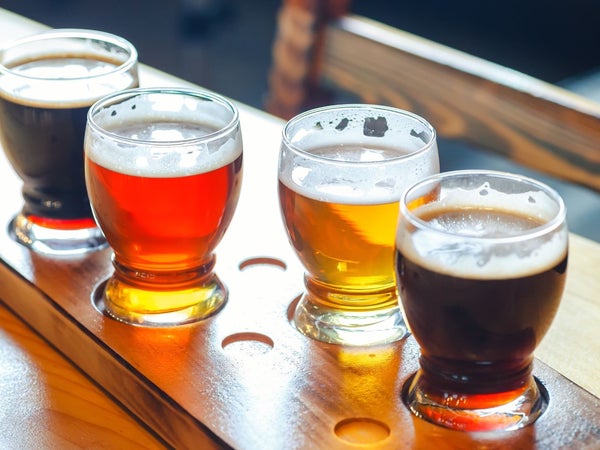 various beers lined up in a flight