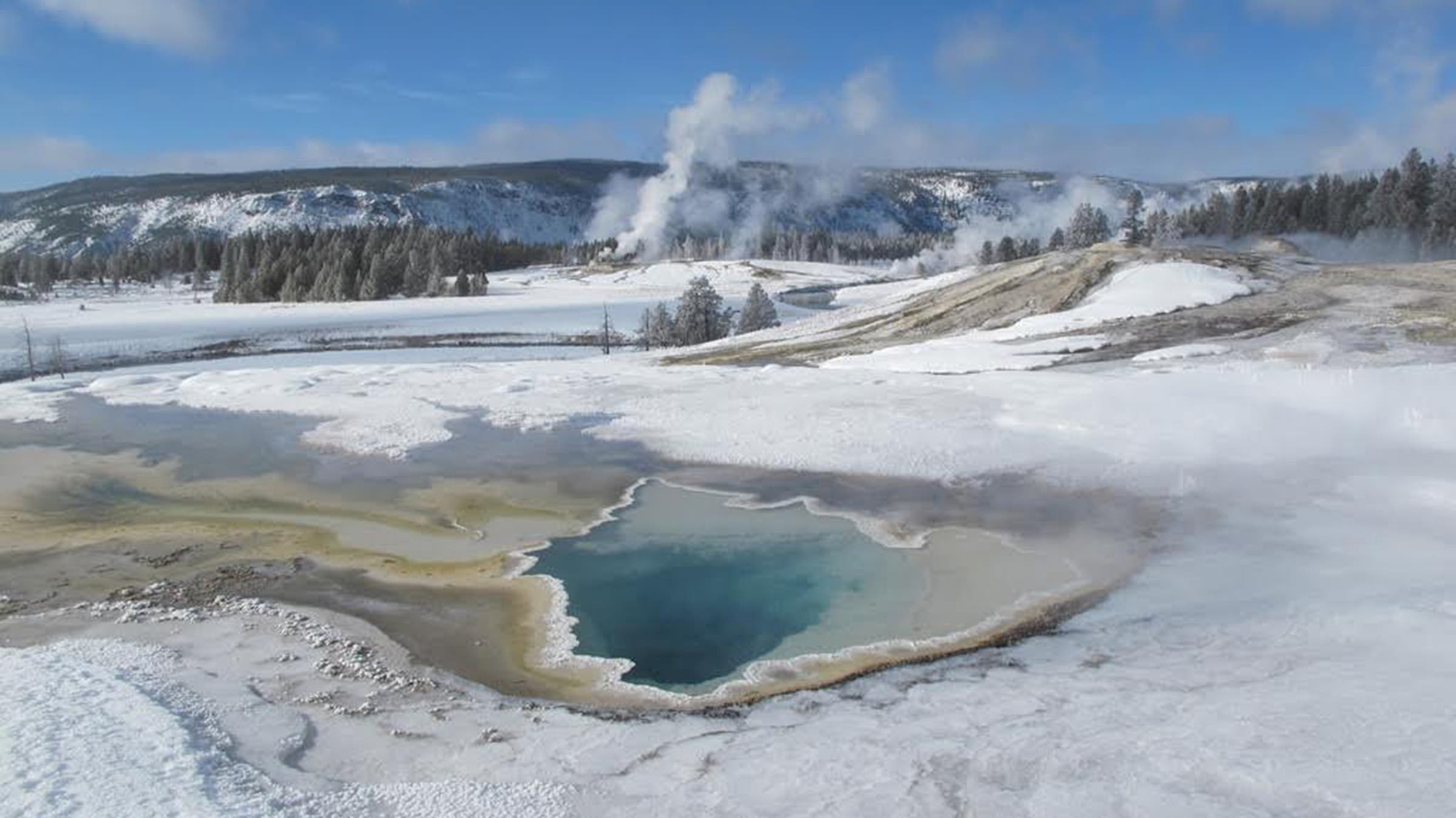 geyser yellowstone