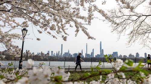 Walking in New York City