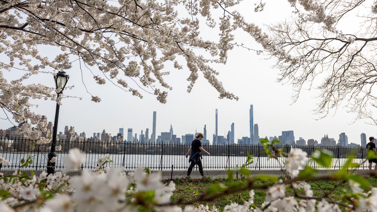 Even the Biggest Cities Have Easy Escapes