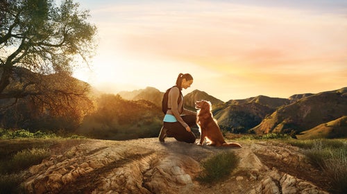 How to feed your adventure dog.