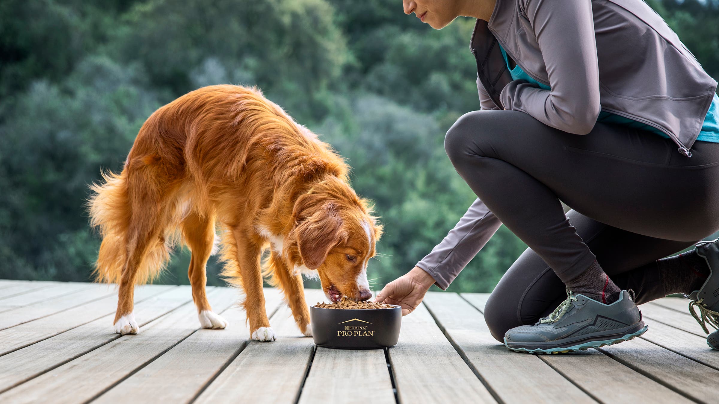 Purina Pro Plan Sport