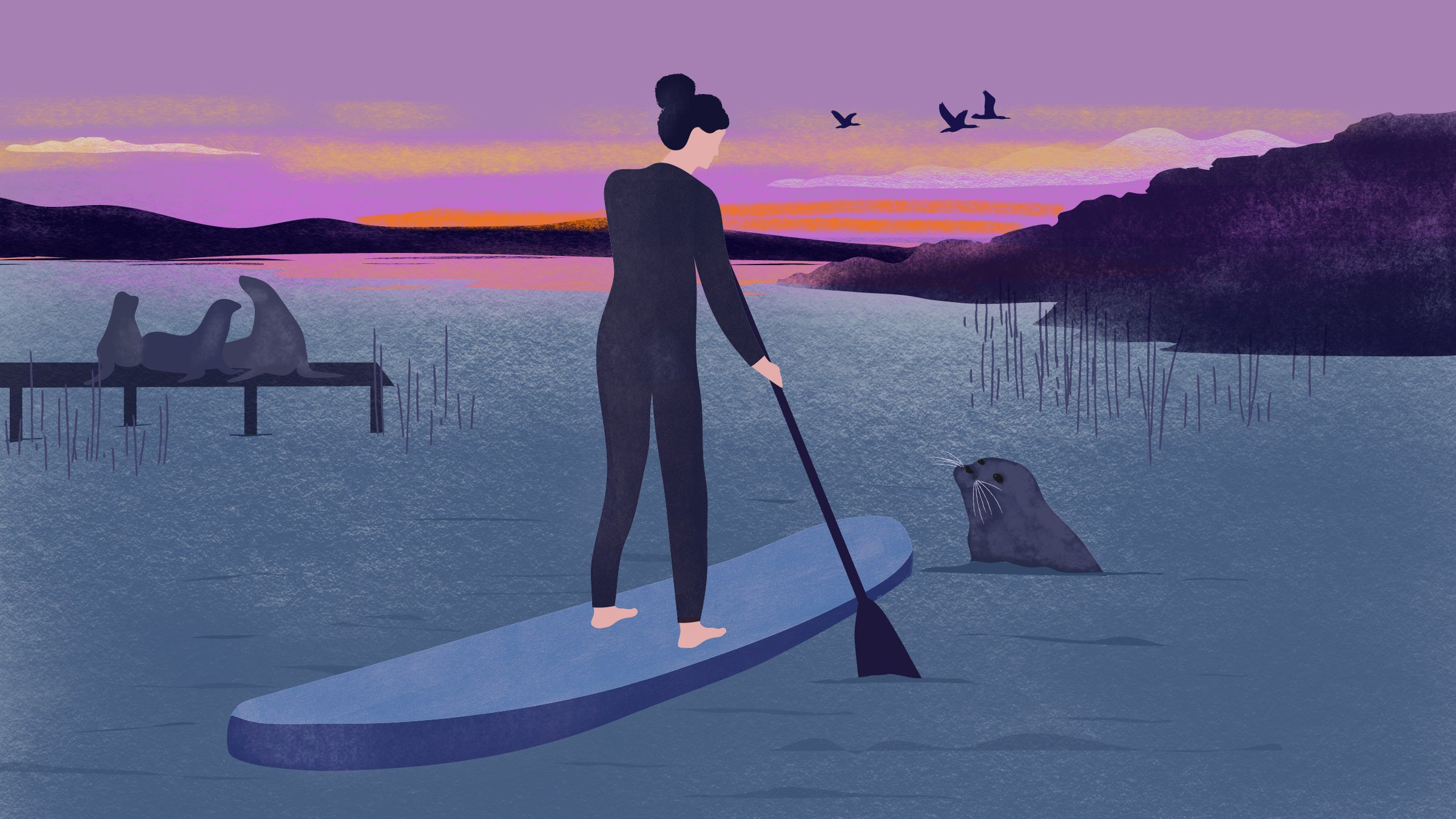 Harbor seals, it turns out, make wonderful ambassadors to people like me—land dwellers newly called to explore the sea.