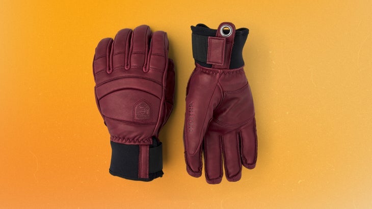 Hestra Fall Line Ski Gloves