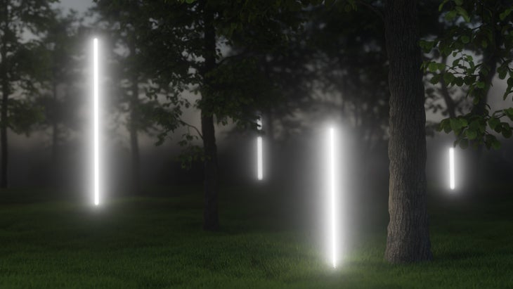 Neon lines light in forest with futuristic visual effect