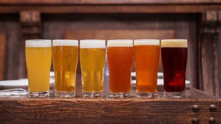 A lineup of beers of different shades