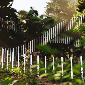 light bars following a trail of switchbacks
