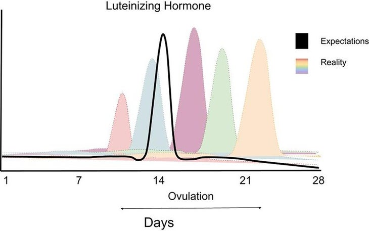 Optimising Training and Racing Around Your Menstrual Cycle — High North  Performance