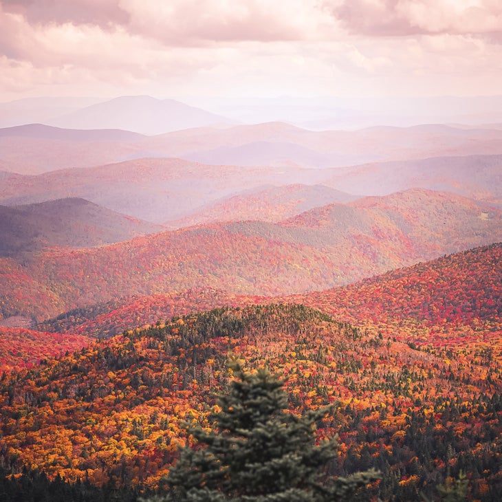 Autumn in the Northeast