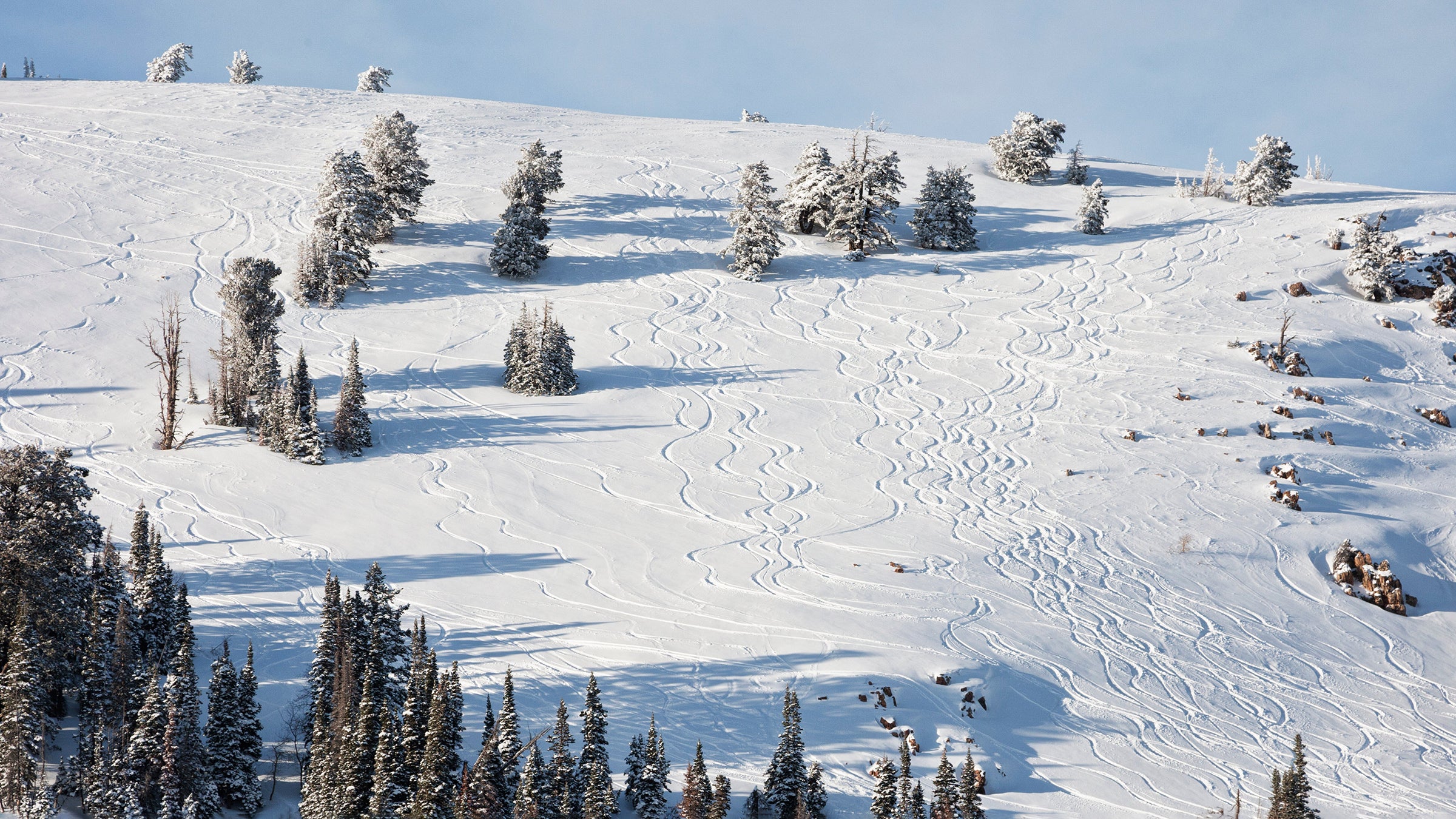 Powder tracks on mountainside at Powder mountain, Utah