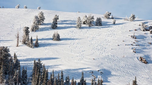 Powder tracks on mountainside at Powder mountain, Utah