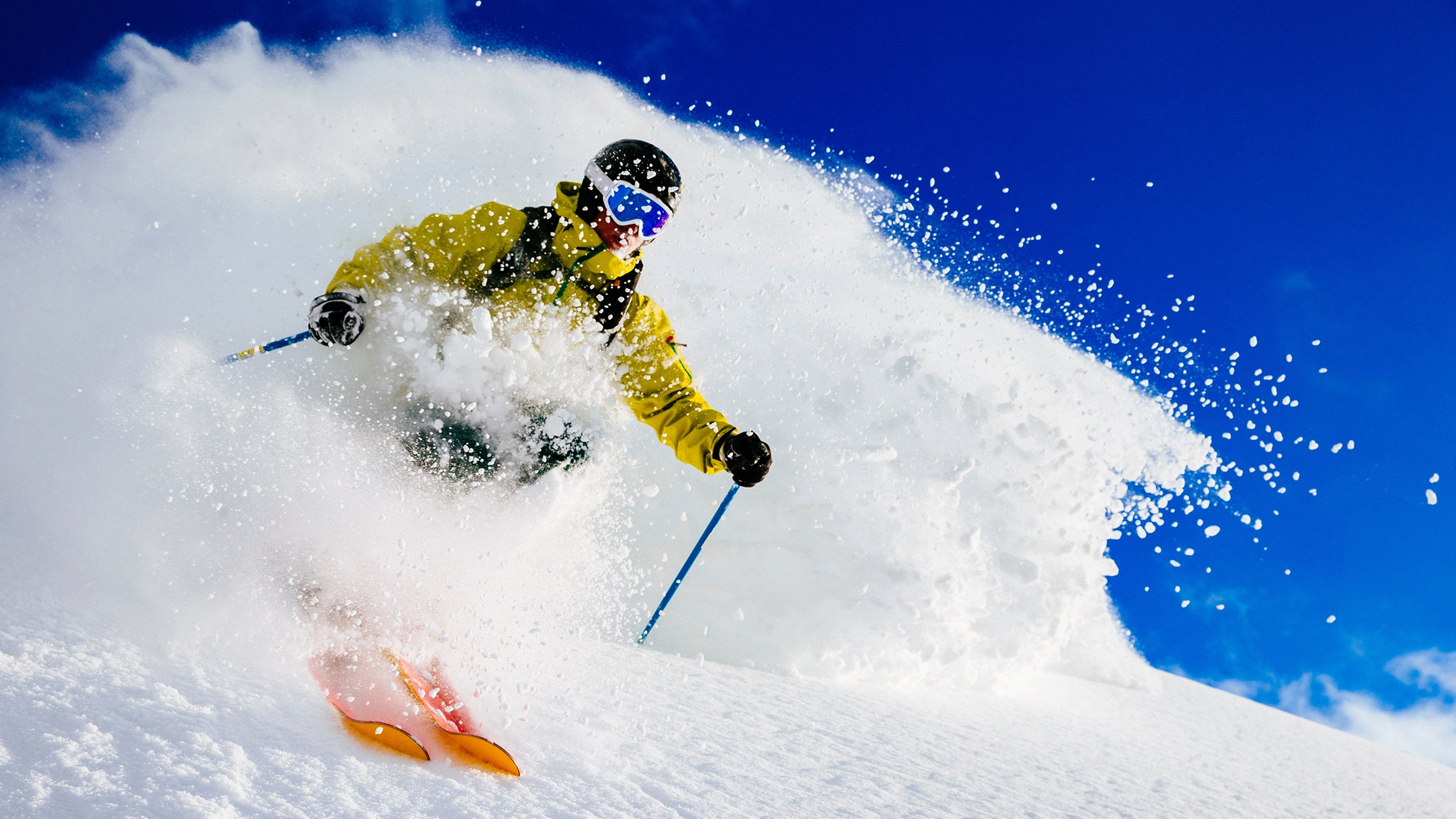 A man skiing fresh powder. Alta, Utah