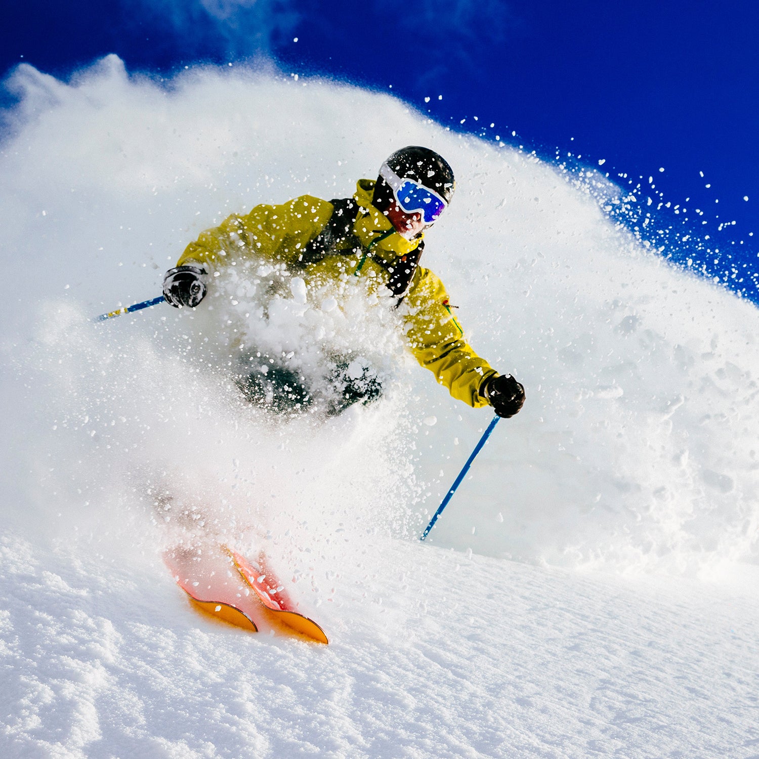 Alta Ski Area Records 900 Inches of Snow Outside Online