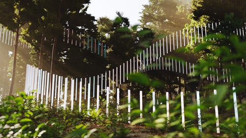 light bars following a trail of switchbacks