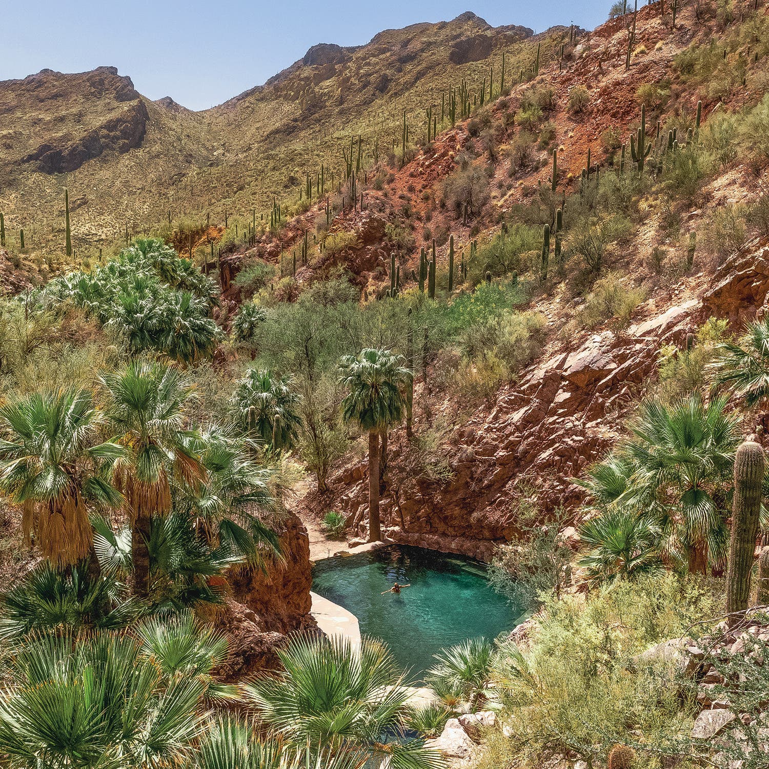 Solo soak, Castle Hot Springs