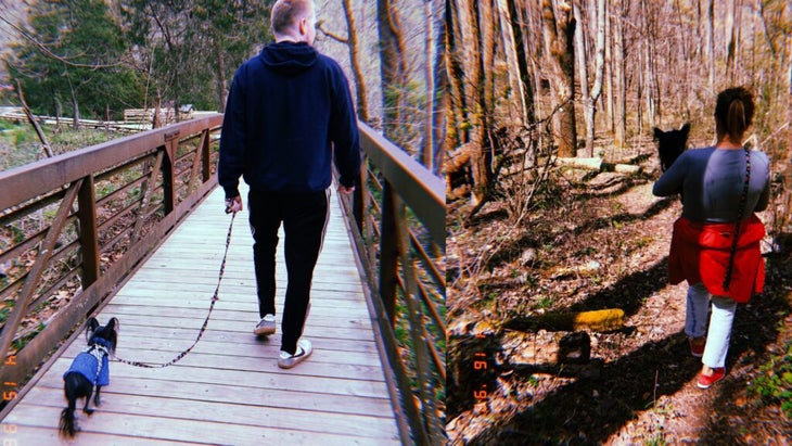 Chinese Crested hiking