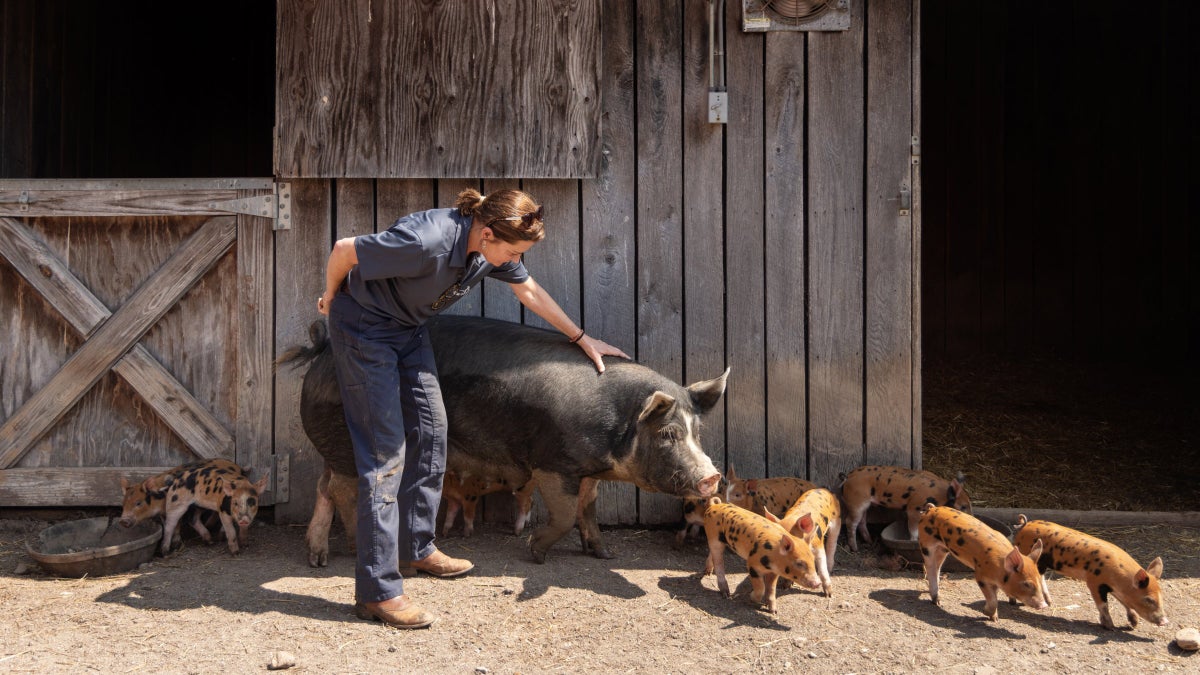 A Vegetarian Runner’s Quest to Become a Meat Eater