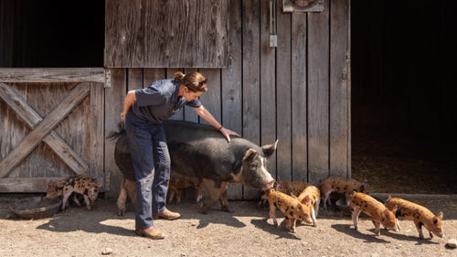 LeeAnn with mama pig