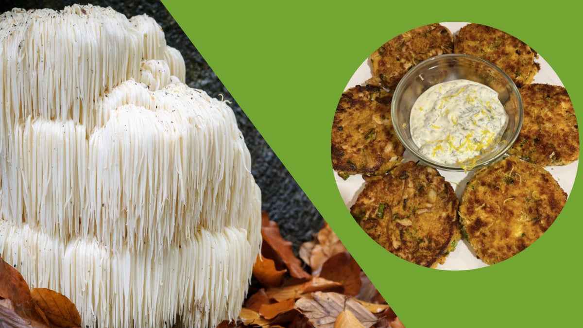 Lion鈥檚 Mane 鈥淐rab Cakes鈥� with Fermented Ramp Tartar Sauce
