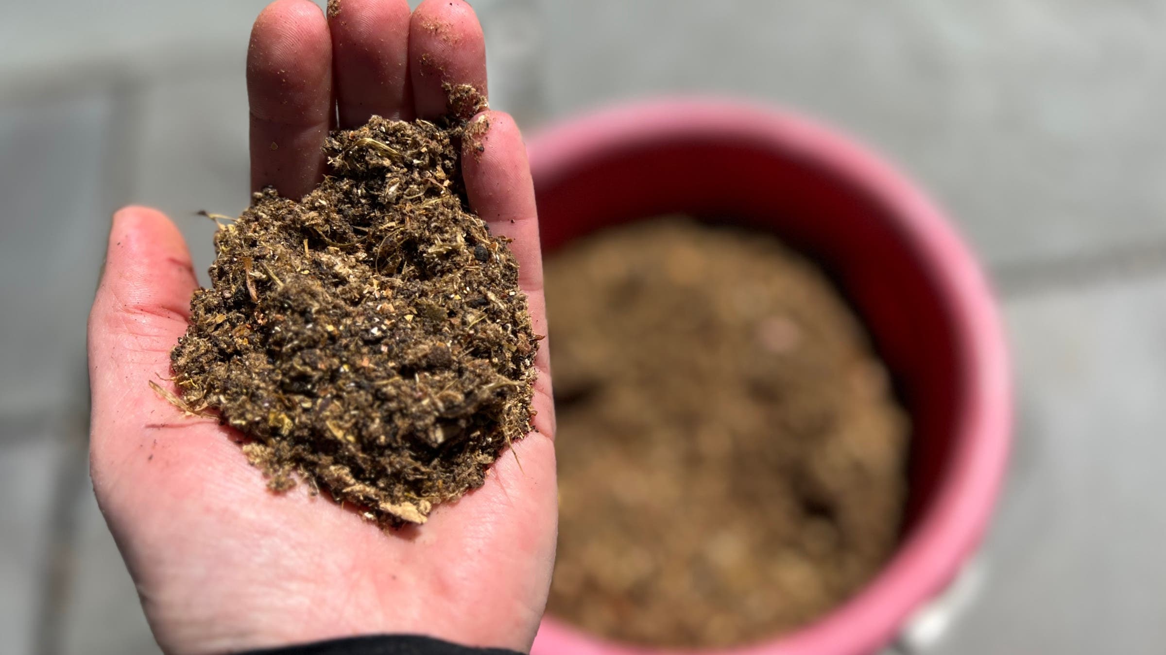 Hand holding light brown Lomi Earth