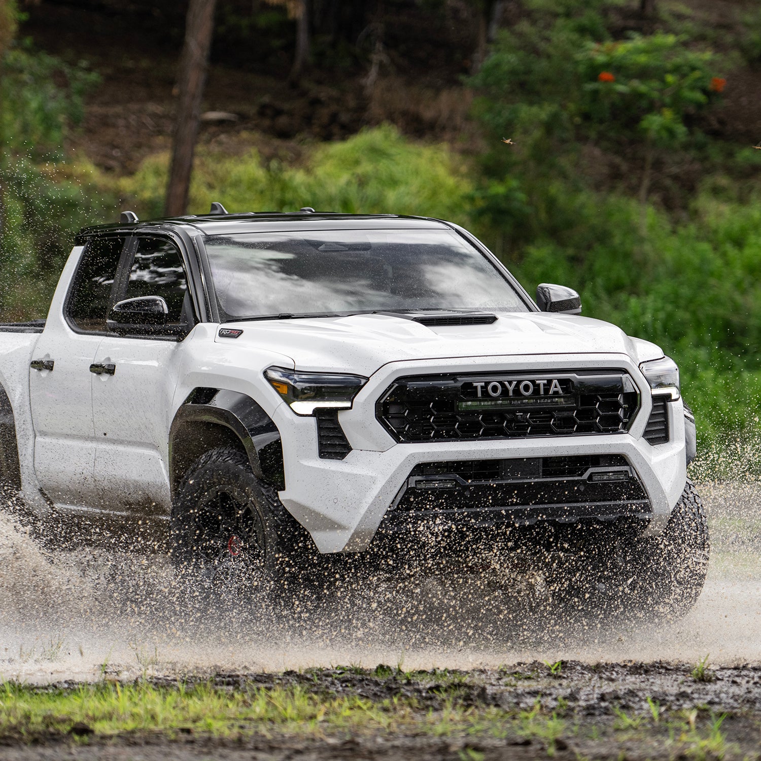 Which New Midsize Pickup Truck Is the Best?