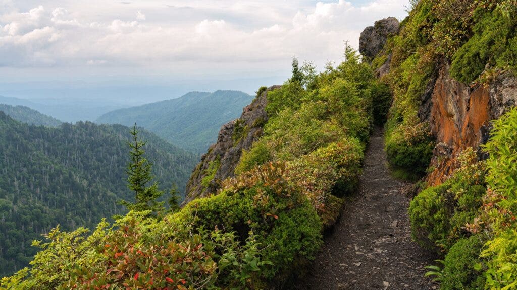 The final ascent on the Appalachian Trail to Charlies Bunion