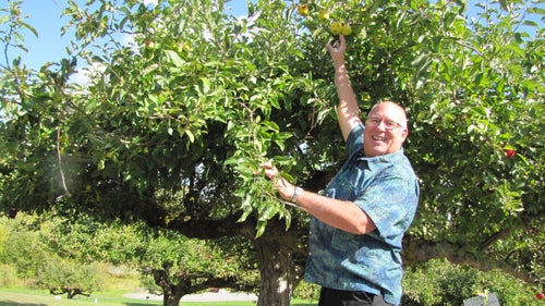 Meet the Appalachian Apple Hunter Who Rescued 1,000 'Lost