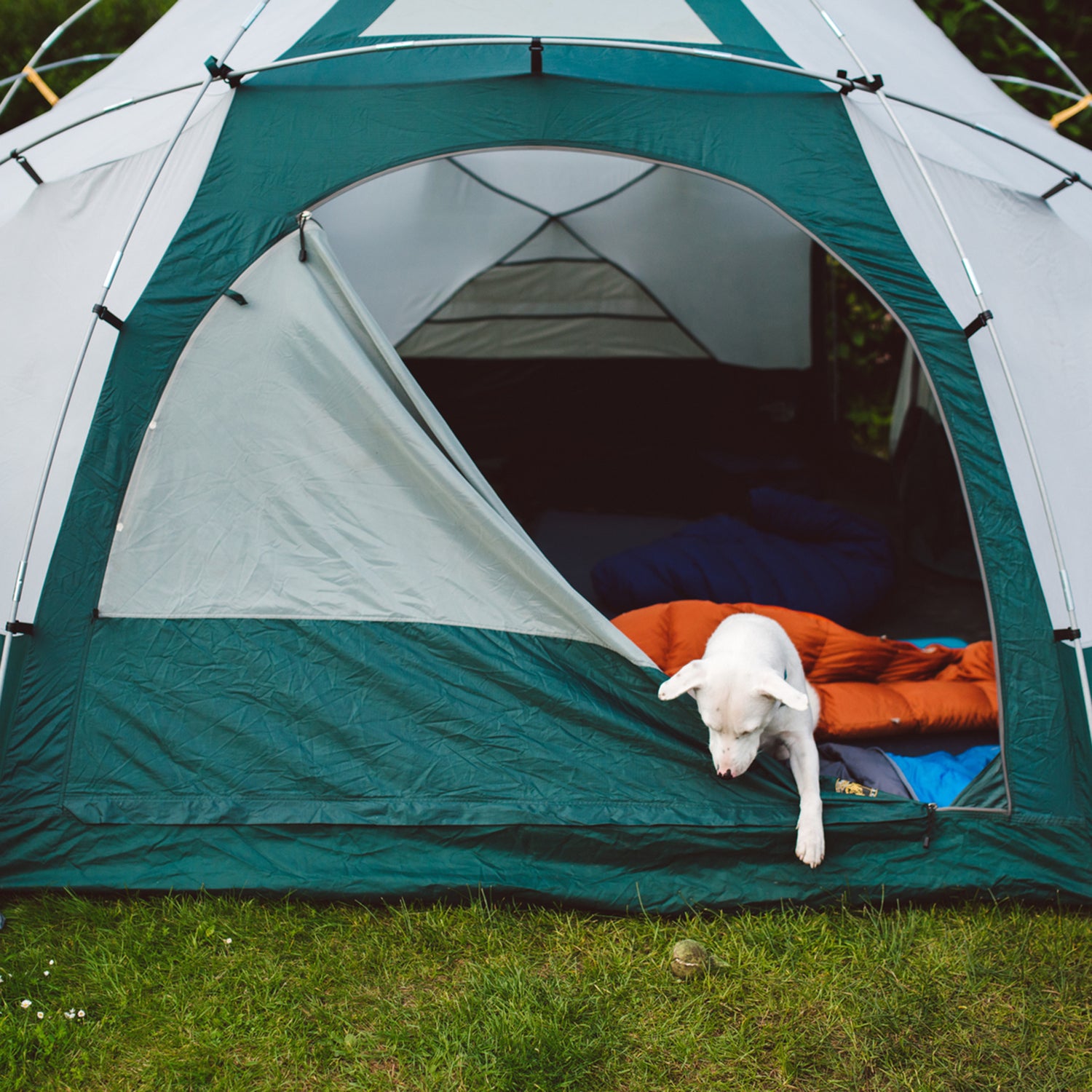 What to Look For When Buying a New Camping Tent