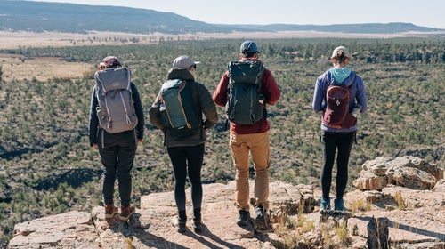 Hikers wearing day packs
