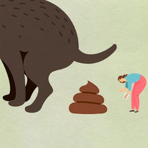illustration of large dog pooping while small person attempts to use a bag to pick it up