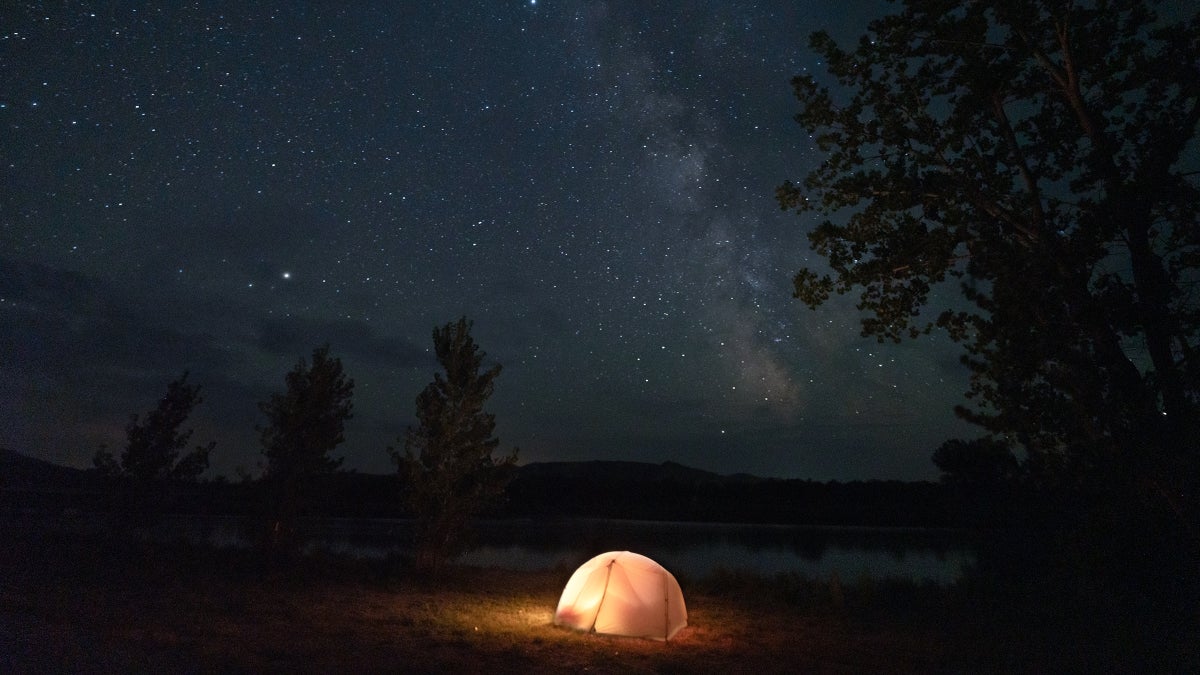 How to View Dark Skies and Wildlife in Montana