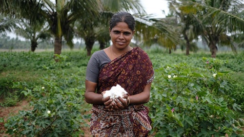 Avocado Green Mattress