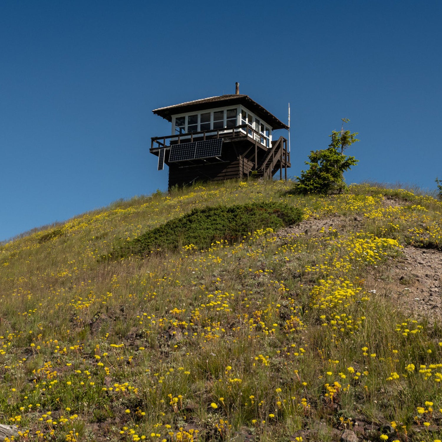 Fire tower sits on top of the summit at Huckleberry Mountain in Glacier National Park