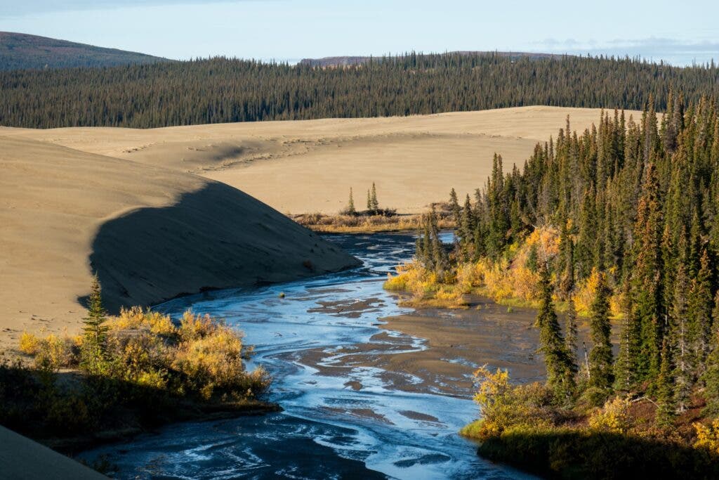 Kobuk Valley Dunes
