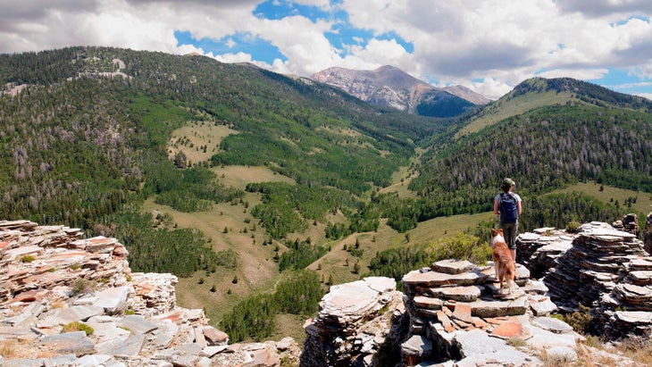 hiker dog viewpoint great basin nevada