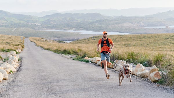 Fit young man in sportswear running with his dog on a leash along a country road while doing canicross