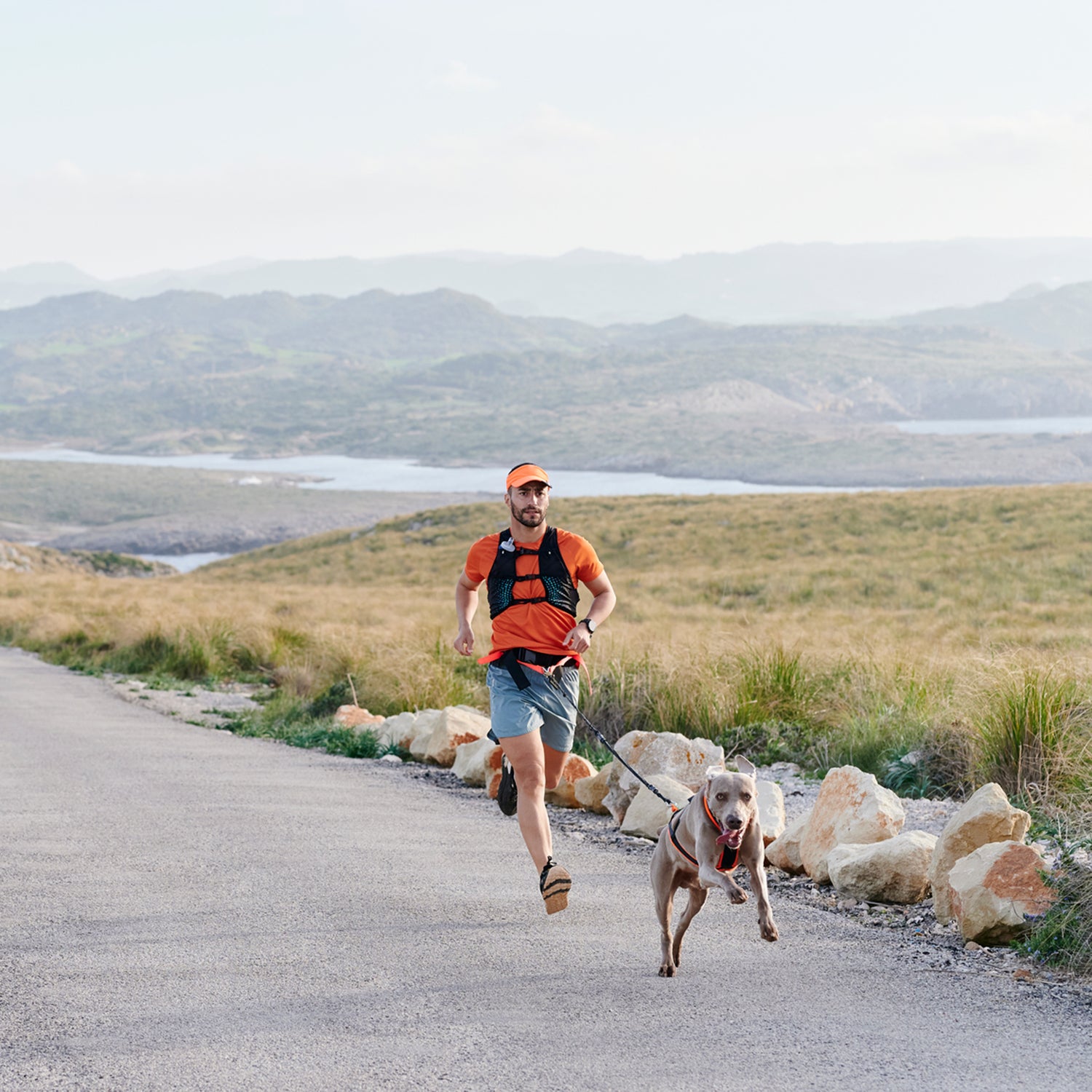 Dog shop running equipment