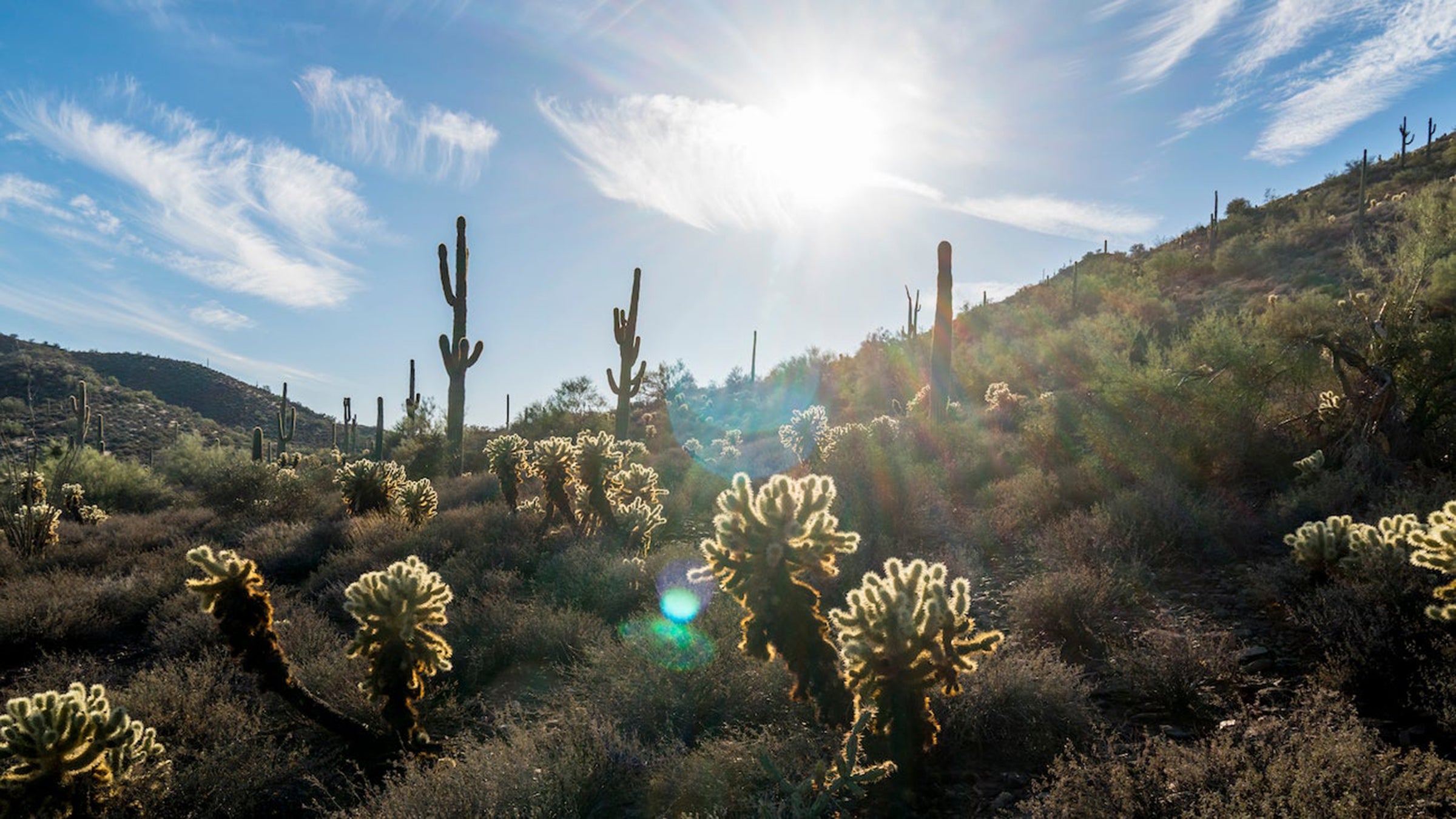 Overton Trail Loop is a 3.5 mile heavily trafficked loop trail located near Cave Creek, of the city of Phoenix Arizona