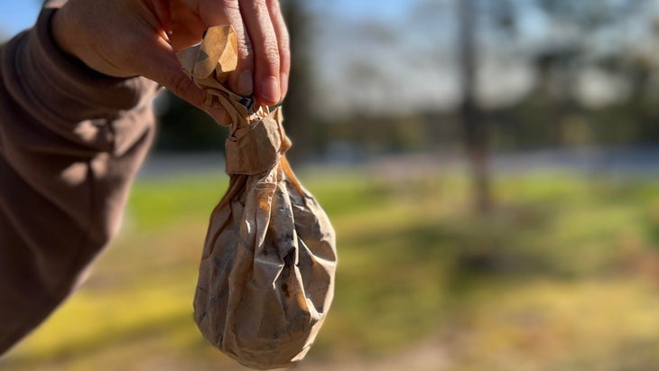 hand holding brown paper bag of dog poop