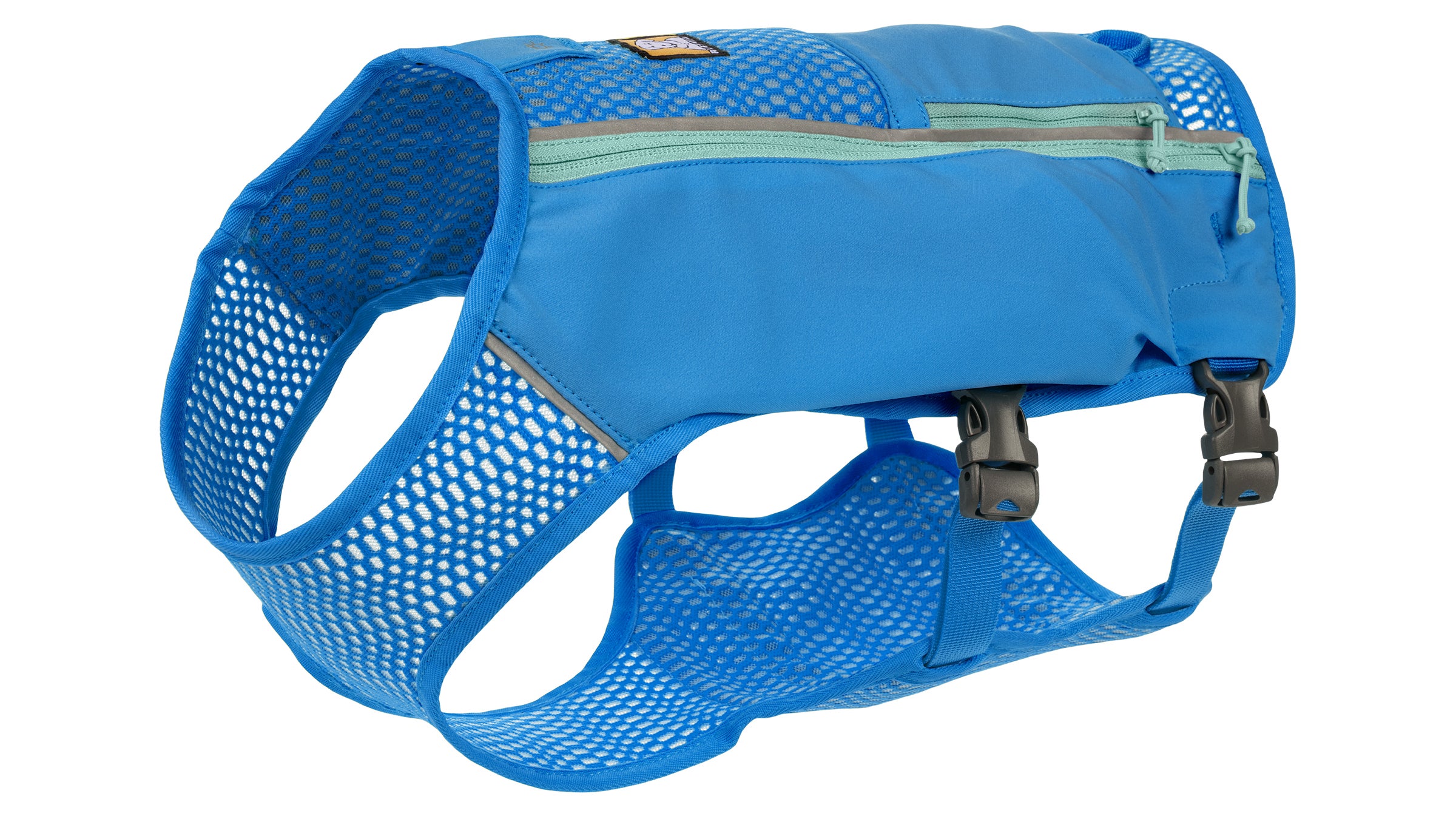 The Best Outdoor Dog Gear 2024 Camping Beds Packs Etc