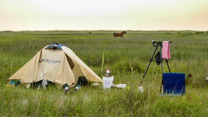 tent, wild horses and beach gras