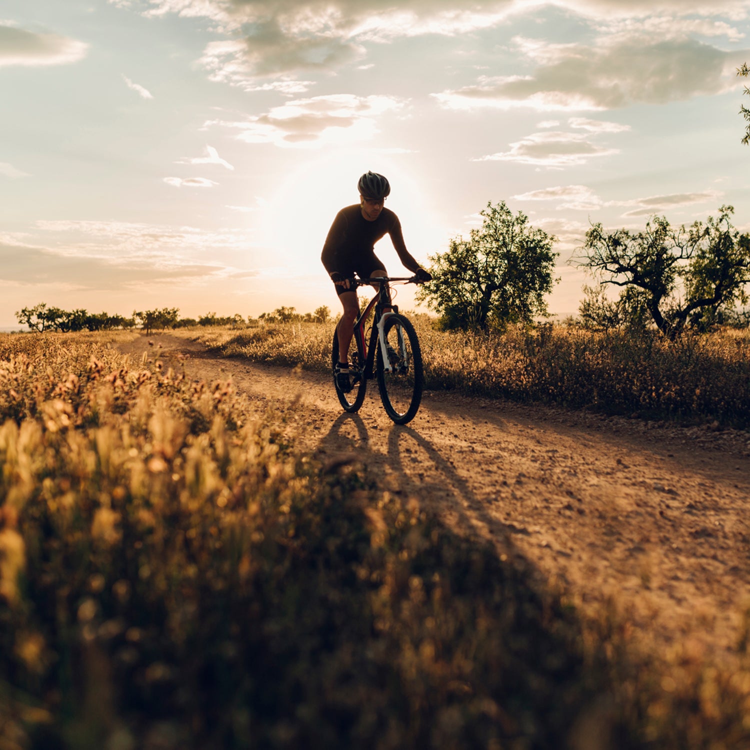 Best store value bike