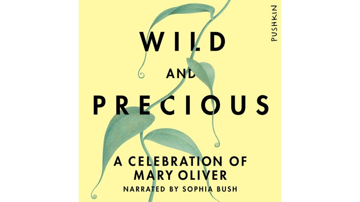 Wild and Precious audiobook cover