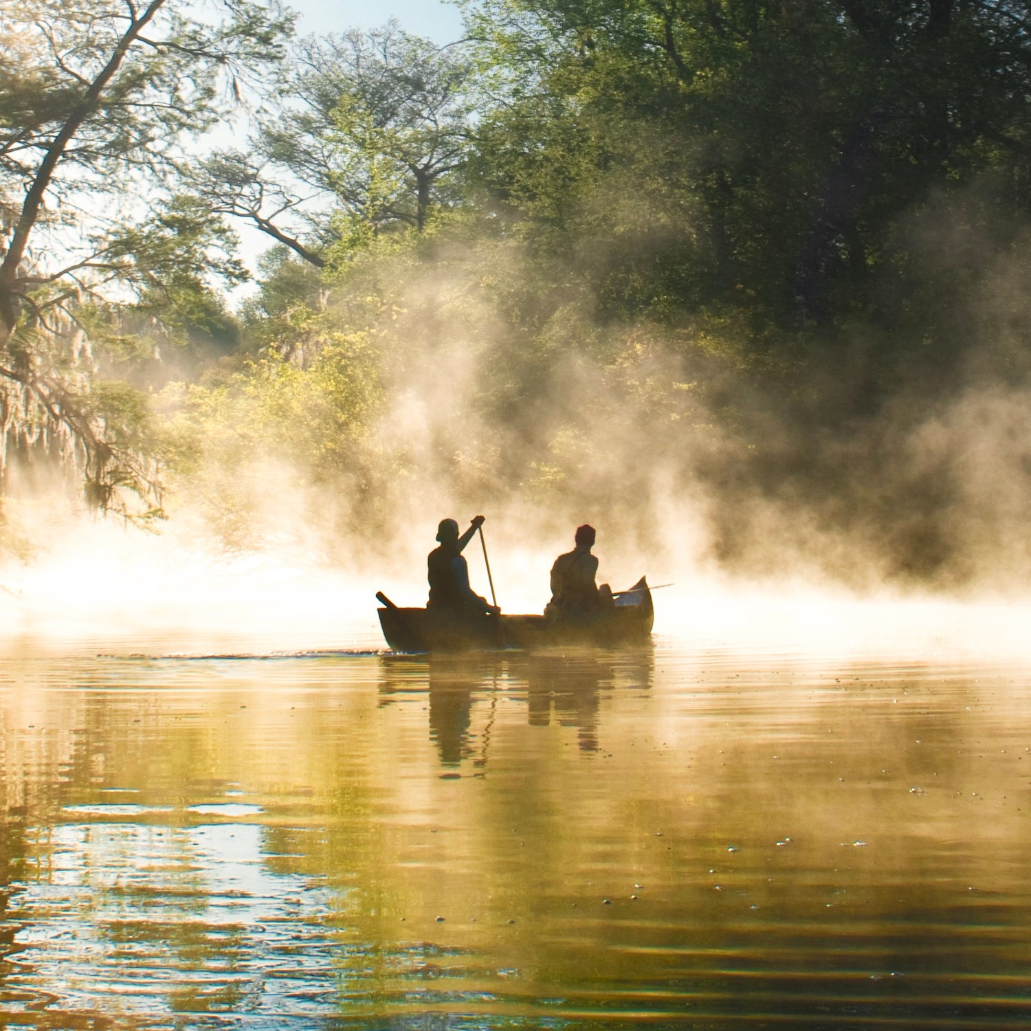 canoeing the Everglades