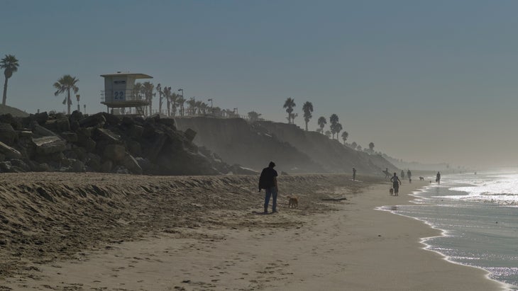 The 11 Most Dog-Friendly Beaches in the U.S.