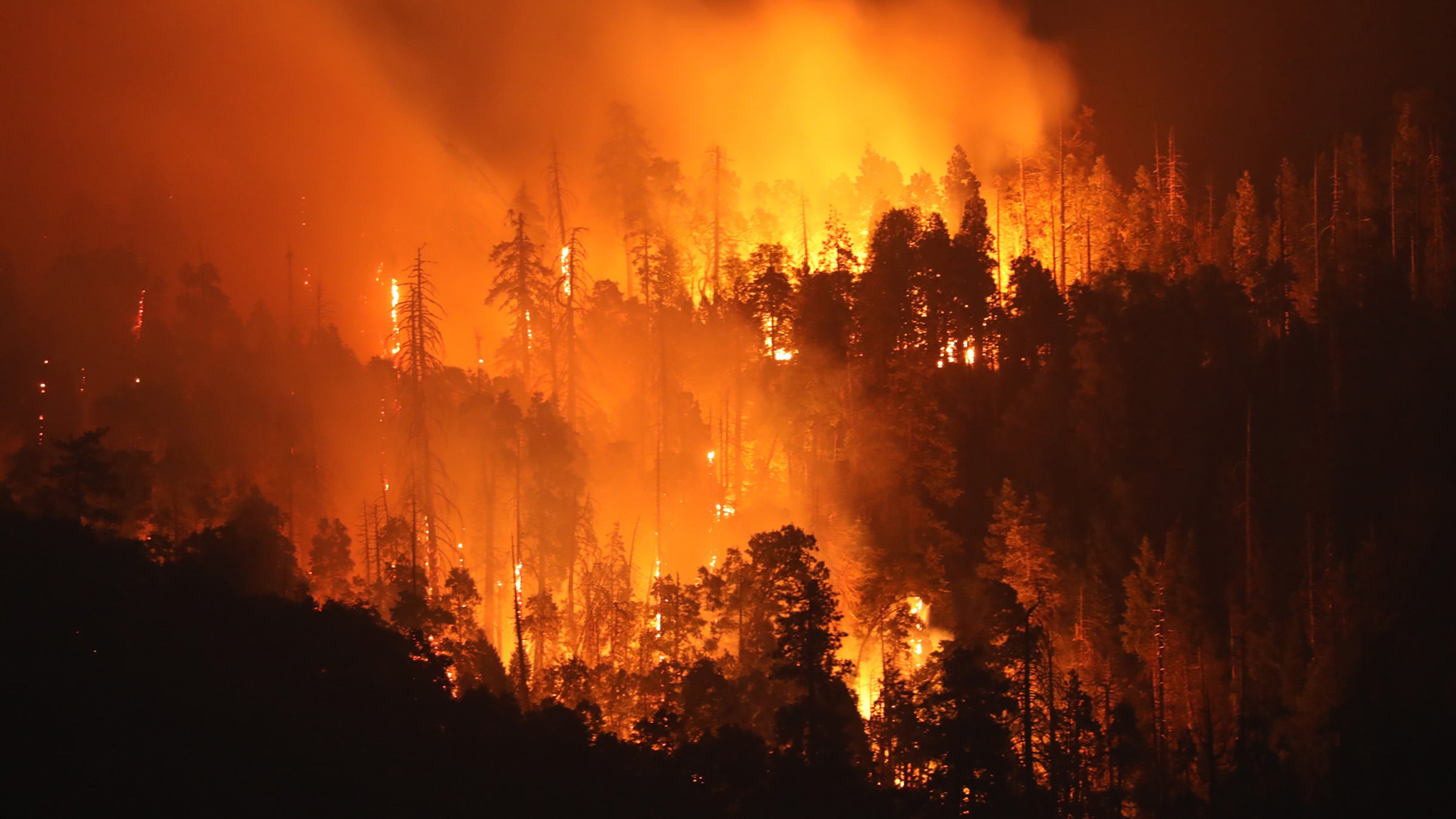 The Oak Fire ravaged parts of Mariposa County in 2022. 