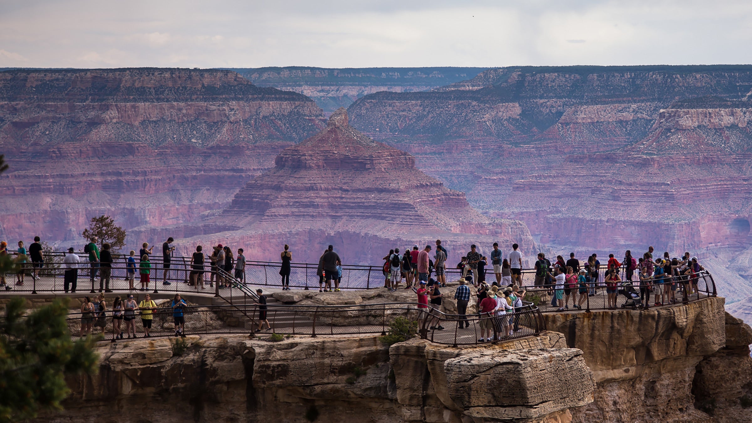 People love to check out the National Parks, and one website manages the visits. 